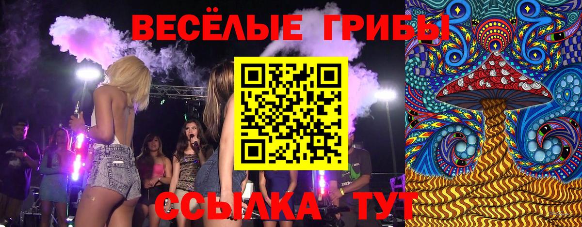 Галлюциногенные грибы прущие грибы Биробиджан