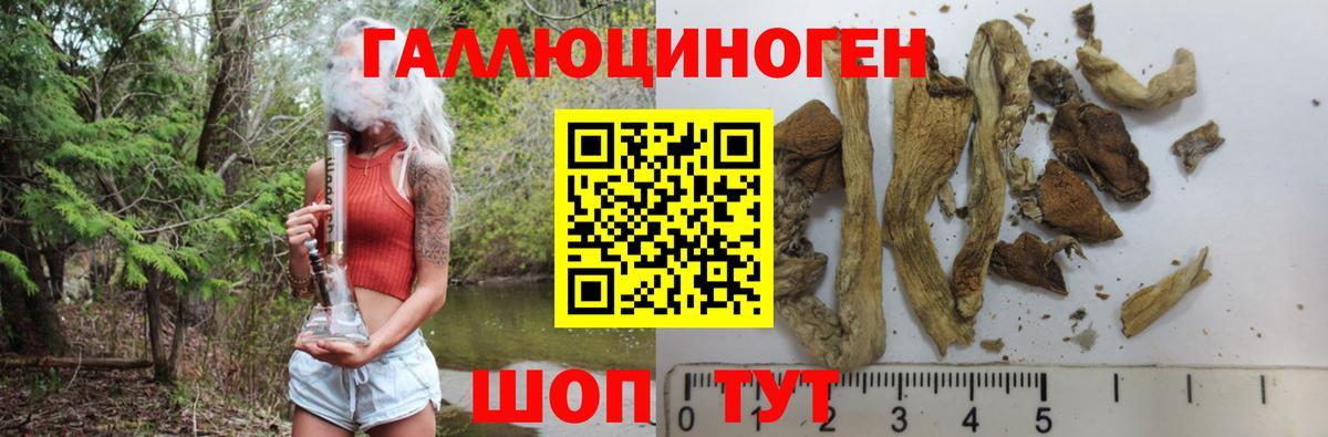 Галлюциногенные грибы GOLDEN TEACHER  Вход с VPN  Биробиджан 